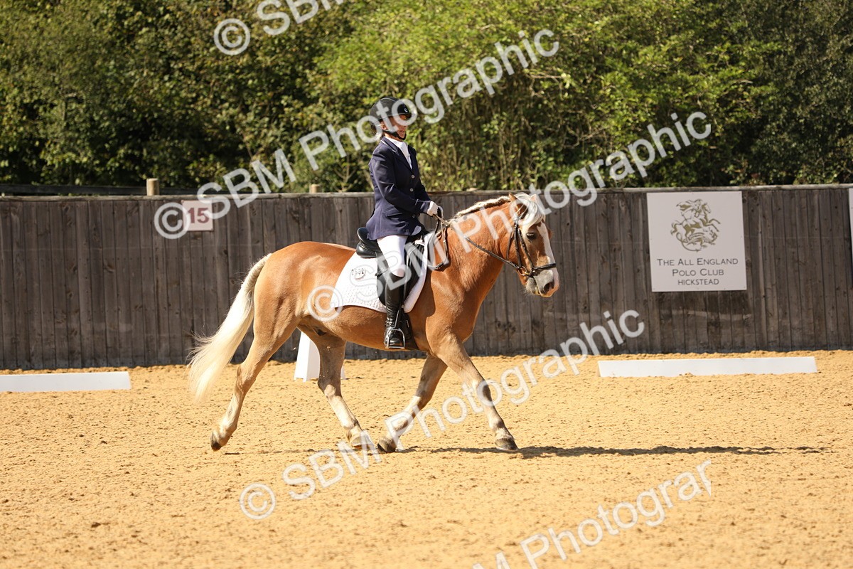 SBM_22400 - D17 - Grand Tour Championship - Novice 27