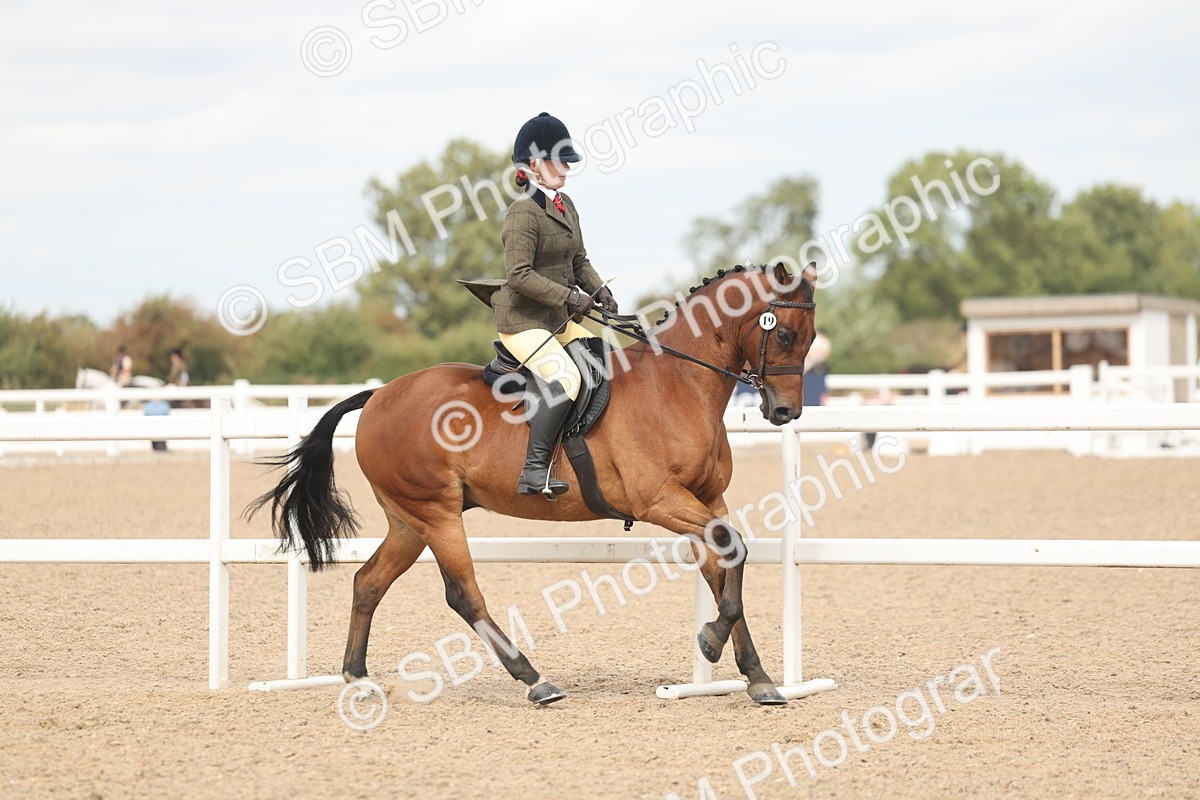 SBM_15982 - Class 311 - Ridden Show pony-Show hunter Pony