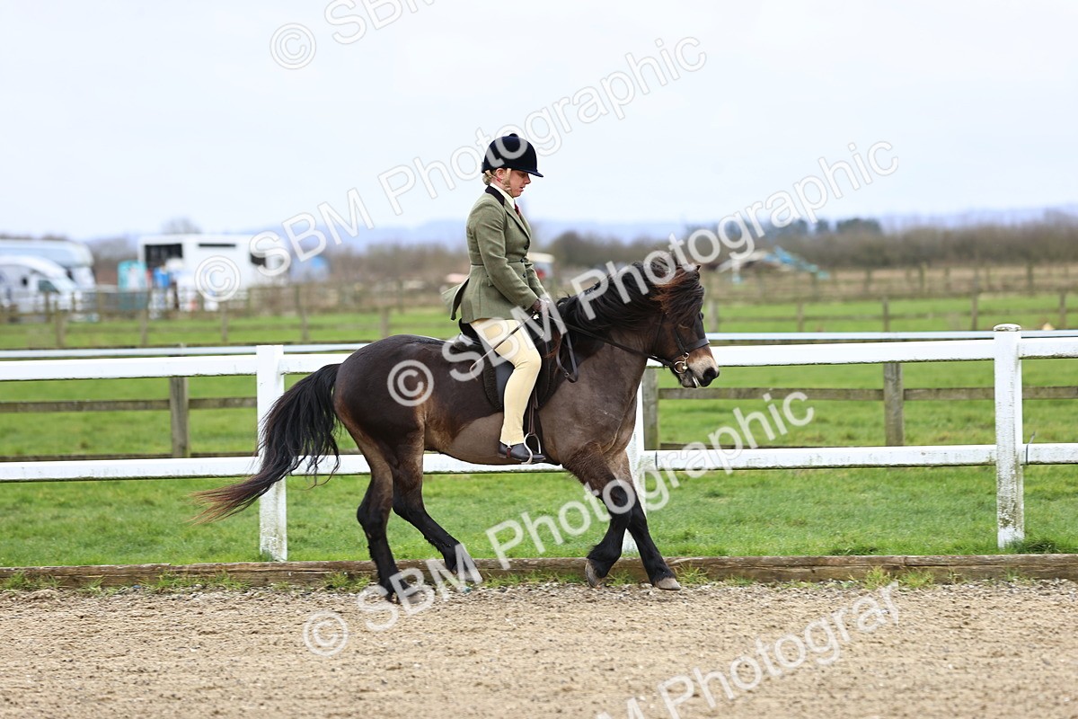 SBM_006759 - Class 29 - 30 - M&M Pure Novice Small-Large Breeds