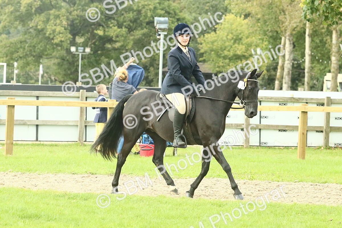 SBM_74097 - S 61 - Show Pony & Show Hunter Pony Ridden