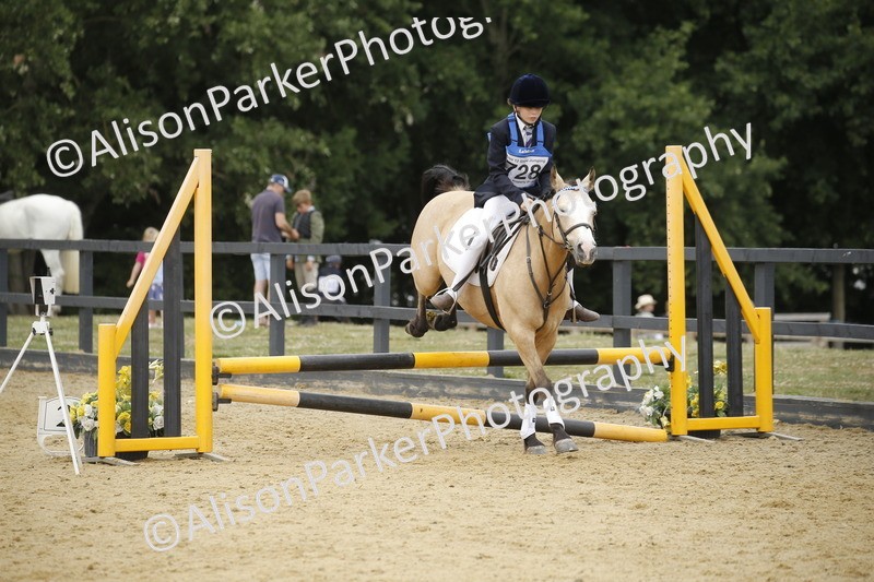 20250622-6034 - 60cm