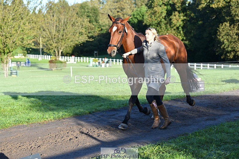 231022-090706-21572 - 641-SILVER.ROCK-Lucy.Boultbee-brooks-TrotUp+SJ