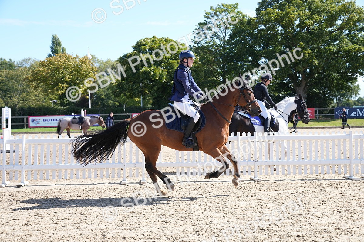 SBM_04945 - J56 - Clear Round 70cm