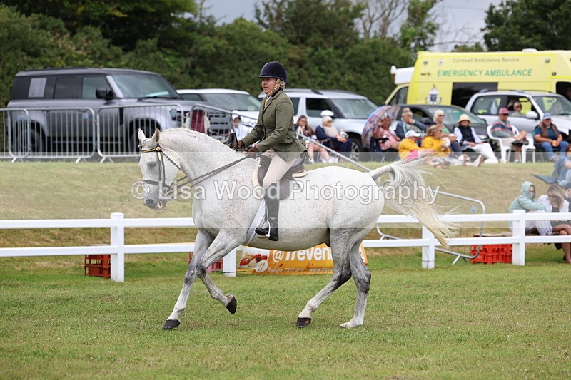 3E7A0947 - Class 8: Open Riding Horse/Hack