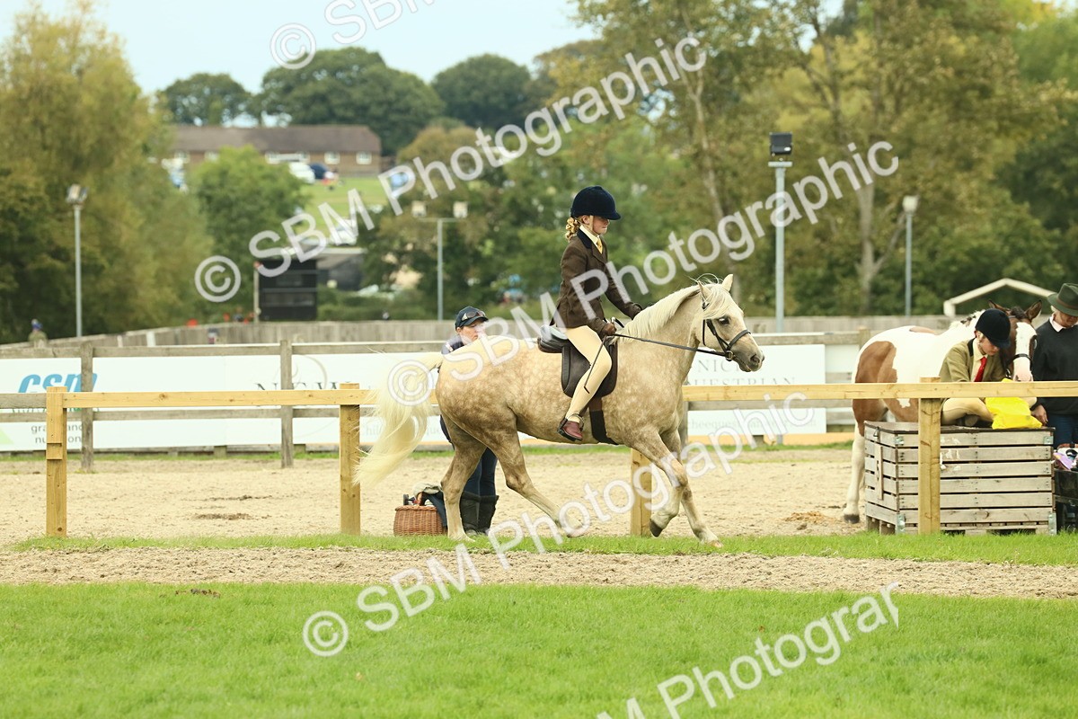 SBM_72029 - S60 - Mountain & Moorland Ridden Large Breeds