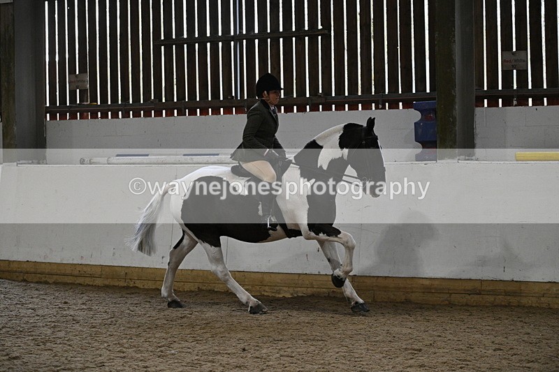 WJ7_3872 - Class 17 Ridden Cob
