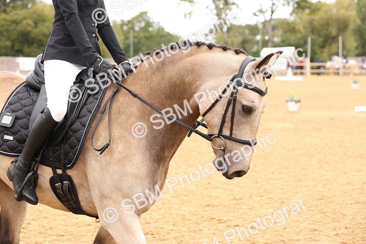 SBM_44014 - D6 - Small Tour Championship Intro 4