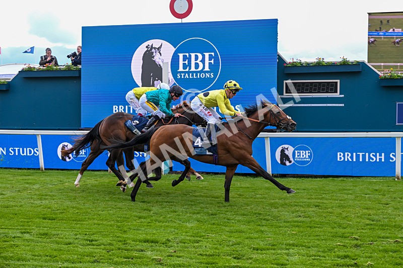 140526-Race 6-Dickensian-5822 - Race 6 4.40pm British Stallion Studs EBF Westow Stakes