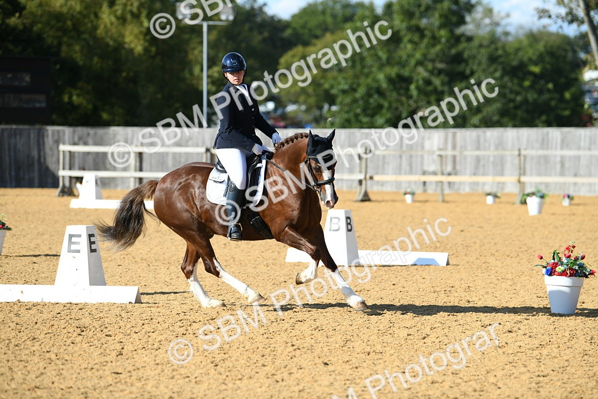 SBM_27228 - D16 - Small Tour Championship - Novice 28