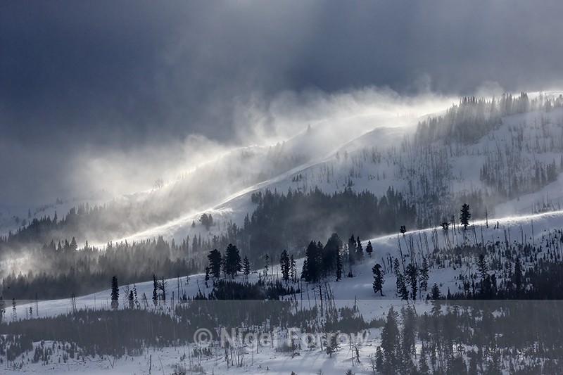 Snow blowing, Lamar Valley, Yellowstone National Park, Wyoming - Wyoming, USA