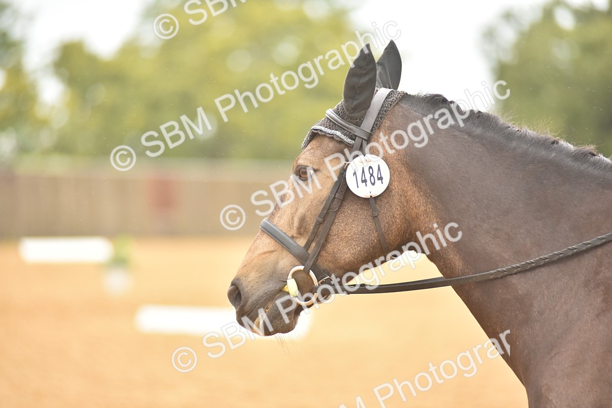 SBM_00434 - D7 - Small Tour Championship Prelim 2