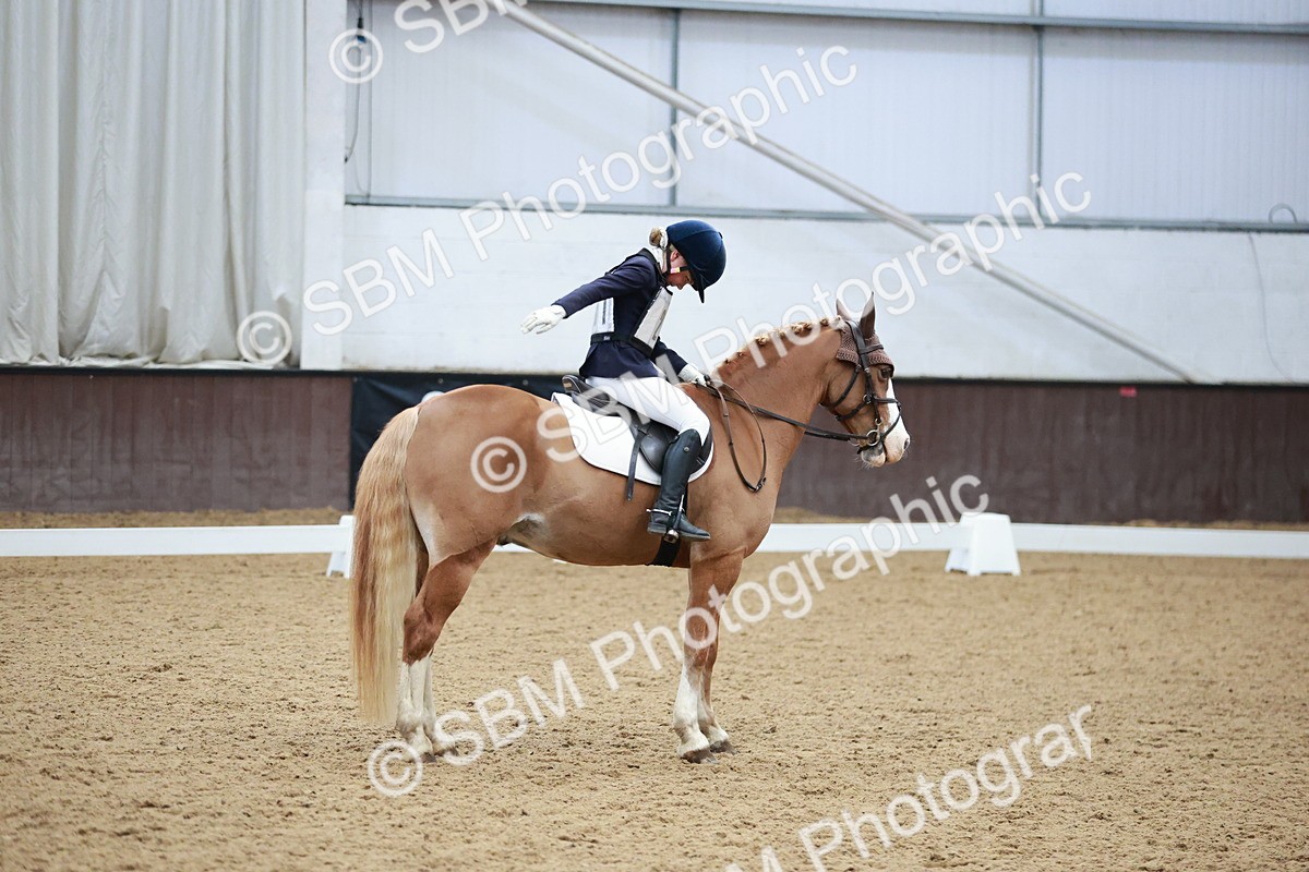 SBM_003980 - Class 2 - Novice 2020