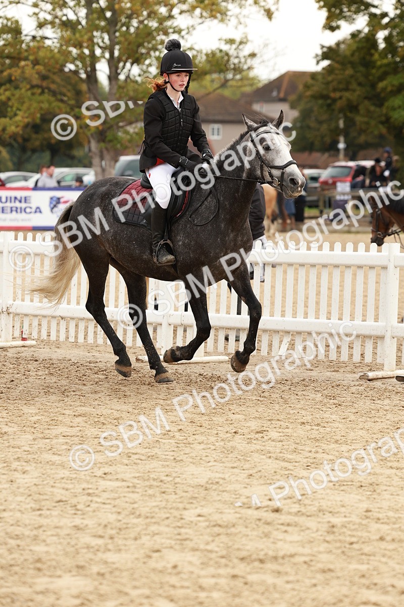 SBM_57600 - J11 - Junior Pony 50cm Championship