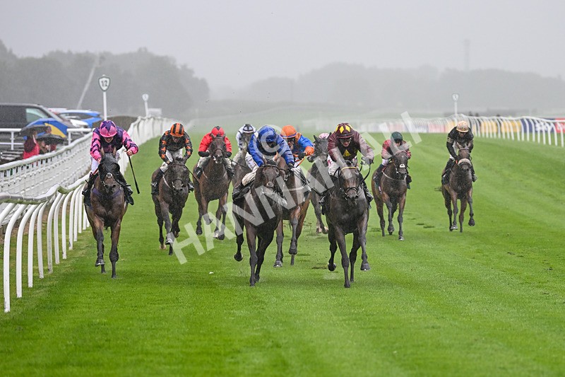 230725-Race 3-Emerald Army-0030 - Race 3