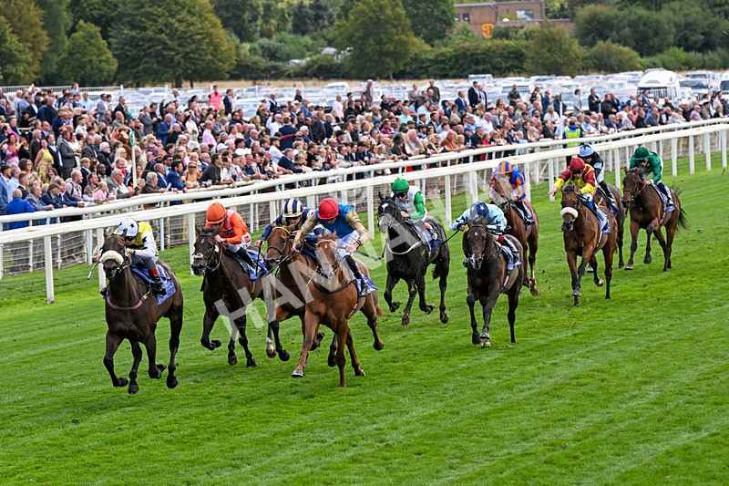 210826-Race 3-Arapaho Gold-0181 - Race 3 15.00pm Al Basti Equiworld Dubai Gimcrack Stakes
