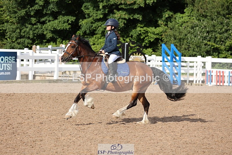 240629A-082135-02516 - Cls 16 British Novice and 80cm Open