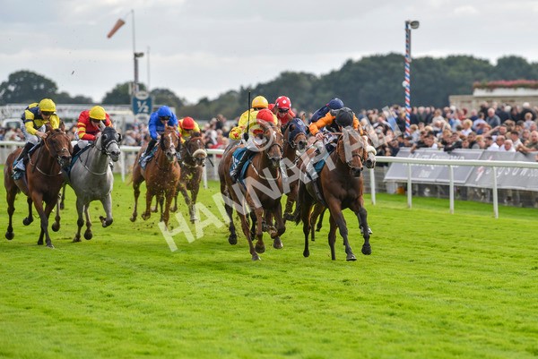 230923-Race 4-Aphelios-6490 - Race 4 3.45pm Jigsaw Sports Branding Handicap