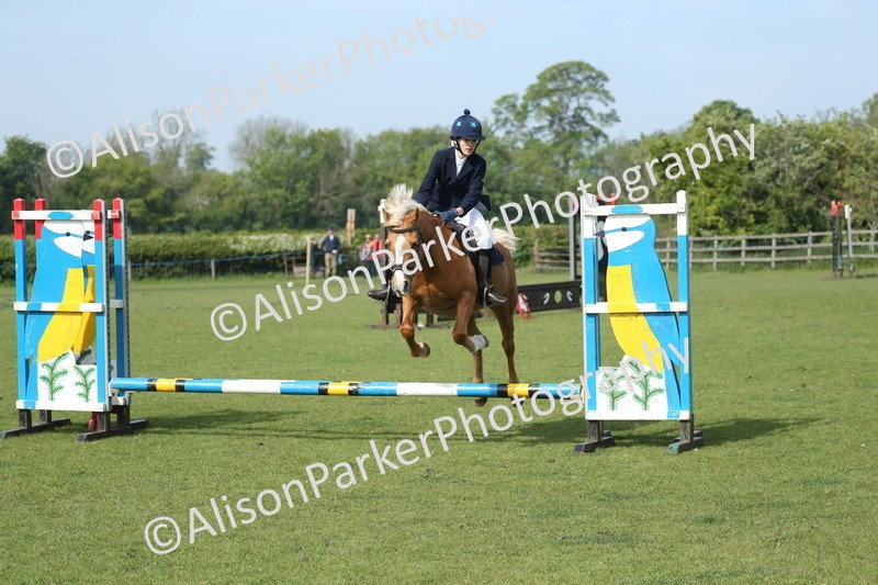 20260426-0240 - Class 13 - Rookie Jumping 50cm