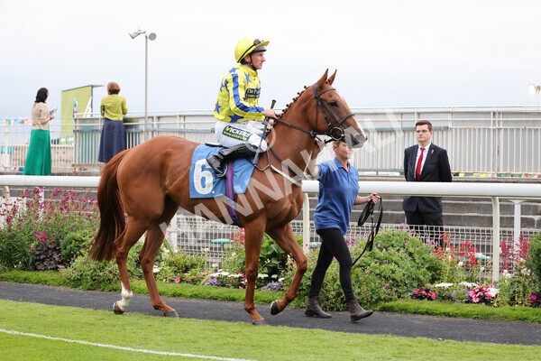 yr23072021r6-10 - Race 6 8.30pm Sky Bet Go-Racing-In-Yorkshire Summer Festival Stakes