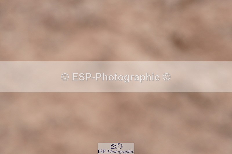 240720A-110516-14256 - Cls 3, 3 Star Small Tour 1.40m