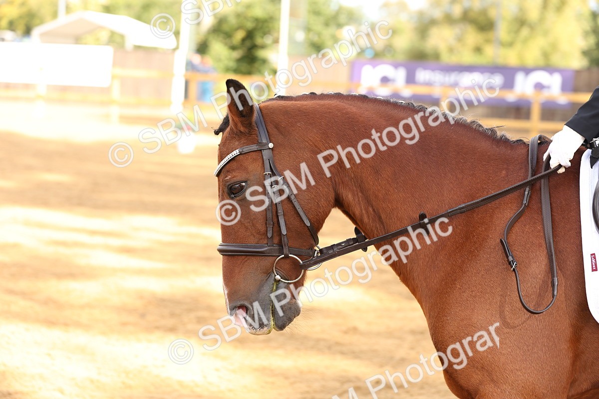 SBM_03481 - D1 - Small Tour Championship Intro 1