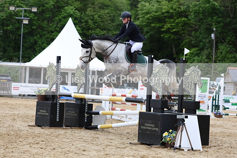 3E7A6414 - Class 4: Senior British Novice/90cm open