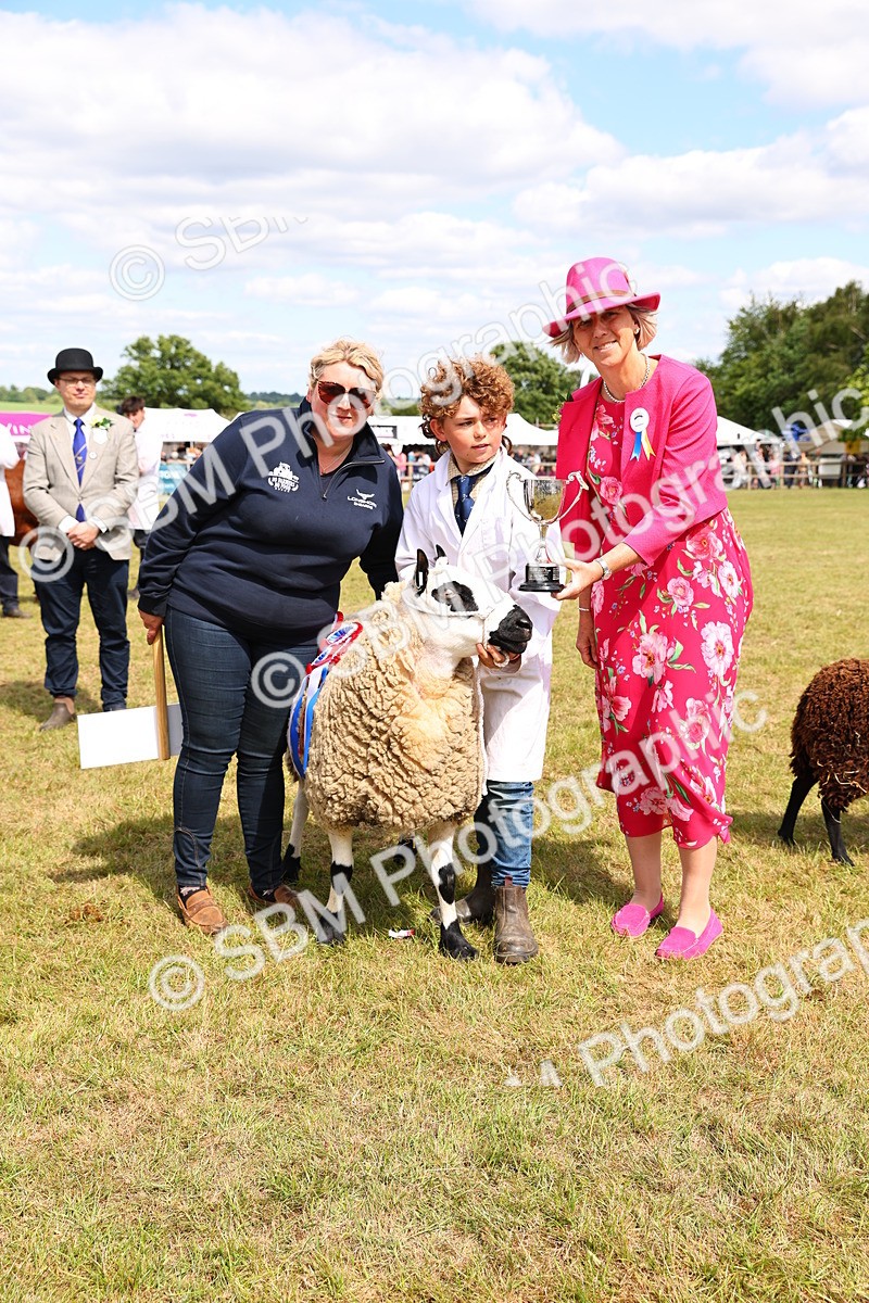 SBM_16993 - Grand Parade