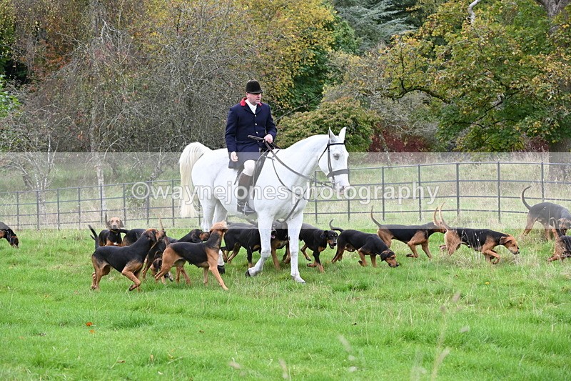 WJ6_0073 - Camera 2 Meet