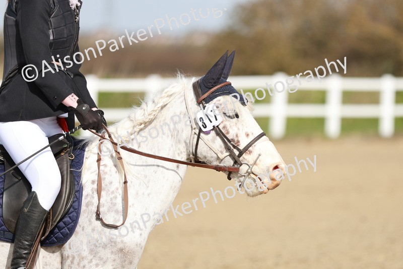 20260314-1119 - DR2 - Intro 3