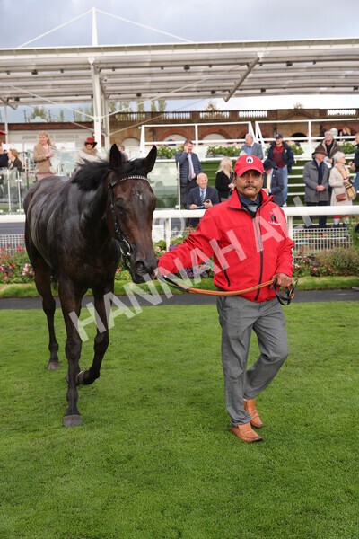 yr07102022r4-72 - Race 4 3.50pm William Hill Best Odds Guaranteed Stakes