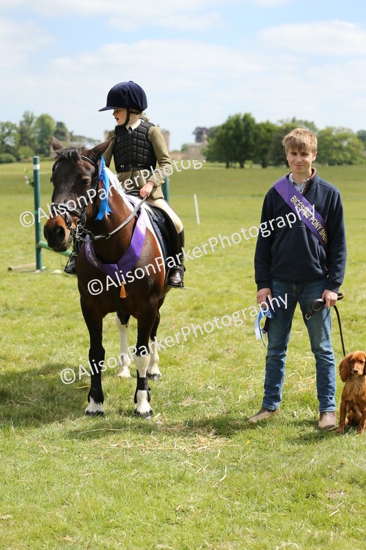 20250517-3052 - Class 25 - Horse & Hound