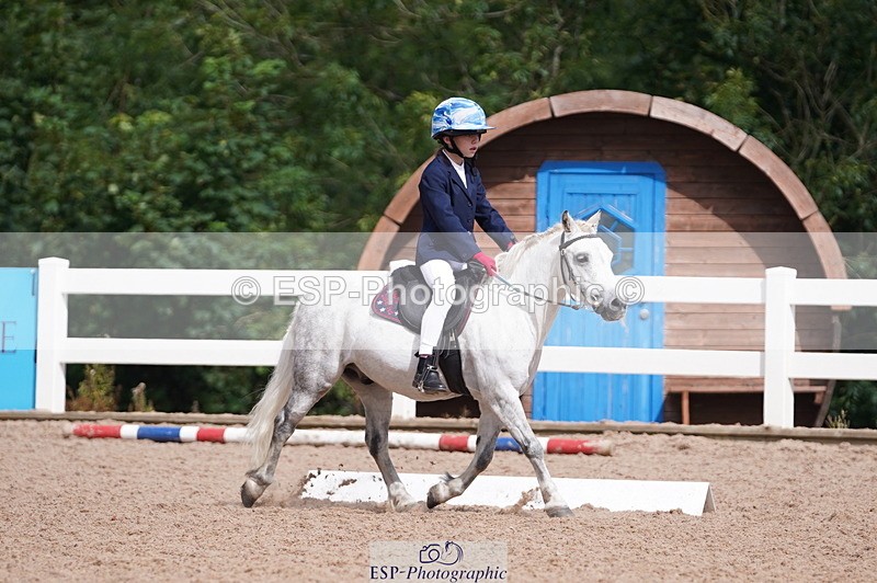 240809A-105726-00684 - Dressage Competition