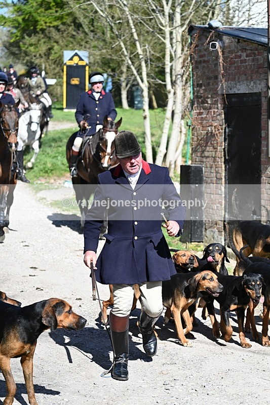 WJ7_9675 - Home for hunt tea !