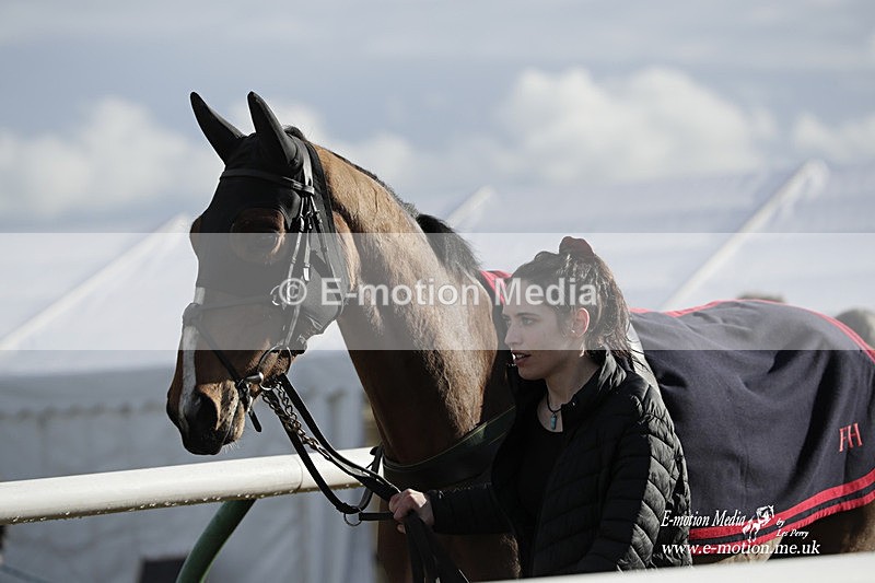 PtP 180323 1325 - Shelfield Park Races with Croome & West Warwickshire Hunt  18/03/23
