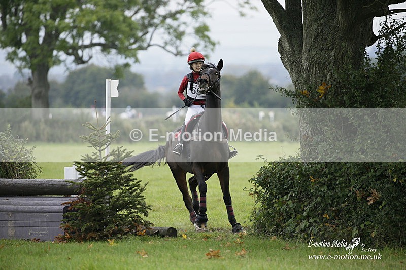  WWHT 171021 1097 - Open Novice (0.80m)  17/10/21