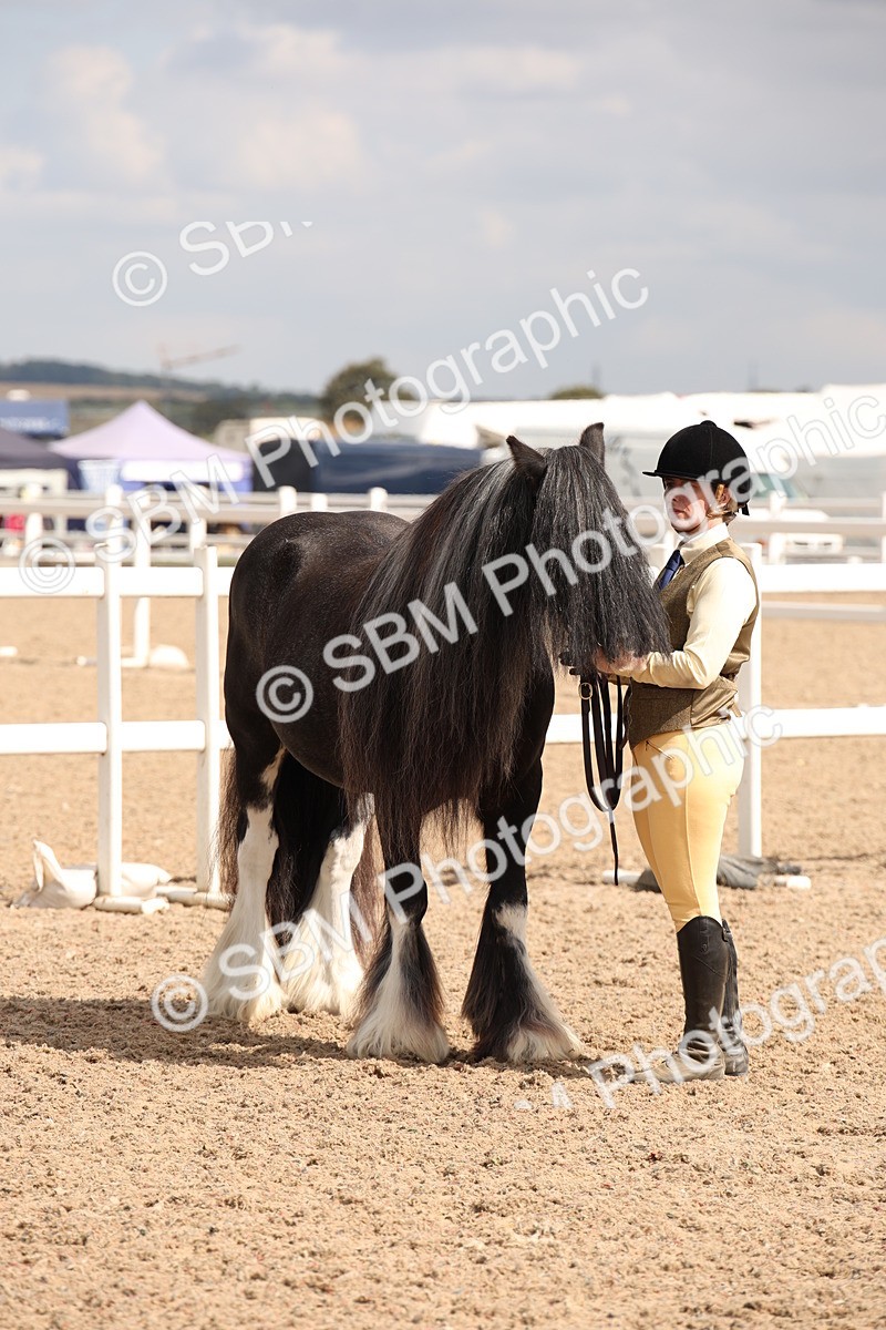 SBM_04653 - Class 20 IH Veteran