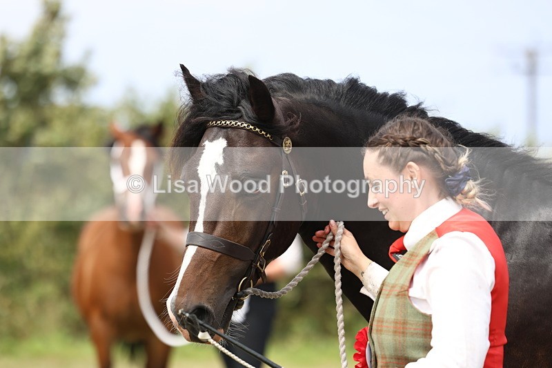 3E7A5715 - In Hand Championship