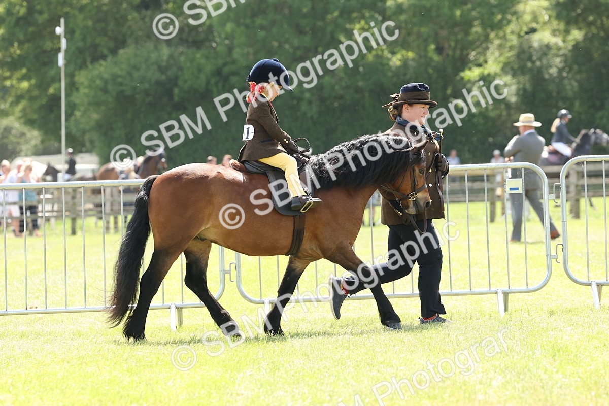 SBM_05186 - Class 24-25 - Mountain & Moorland In Hand Lead Rein and First Ridden