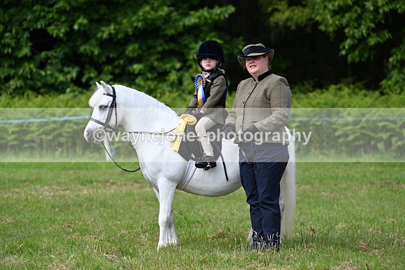 WJ7_0968 - Class 8 First Rally Pony