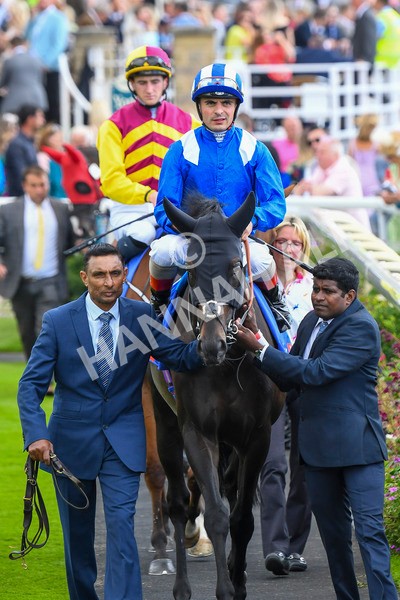 290723-Race 3-Alflaila-0486 - Race 3 3.15pm Sky Bet York Stakes (Group 2)