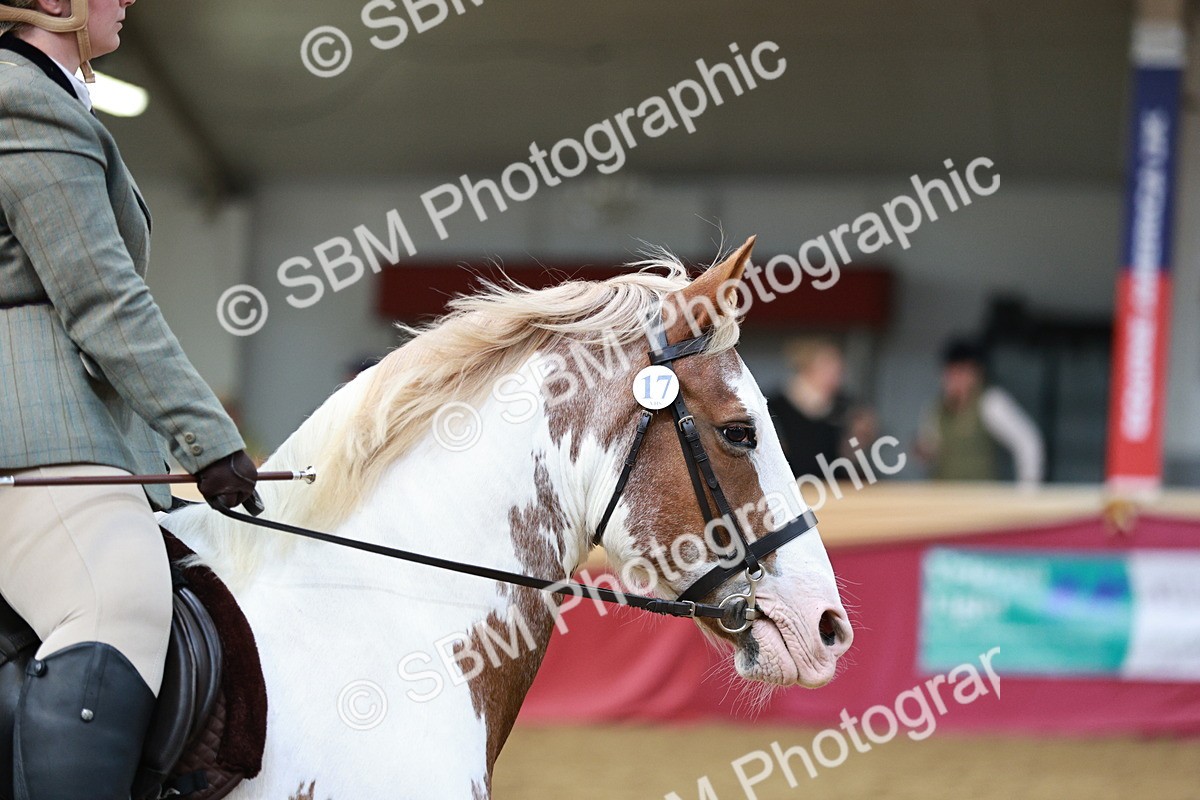 SBM_03676 - Class 6A Area Ridden Pre-Vet