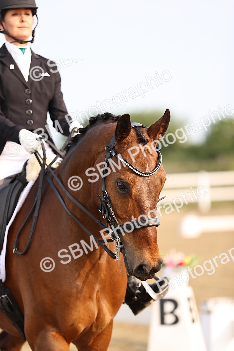 SBM_006556 - Class 7b - Elementary 6 - 7.46-8.35