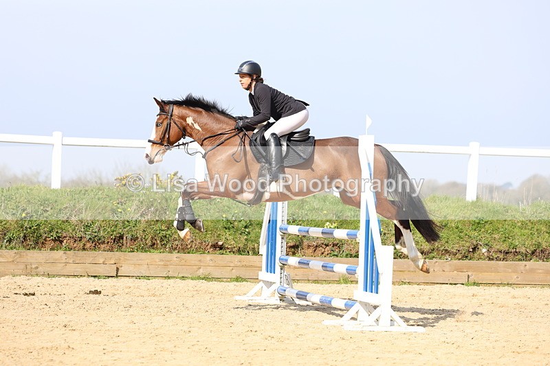 3E7A6544 - Class 4: Senior British Novice/90cm open