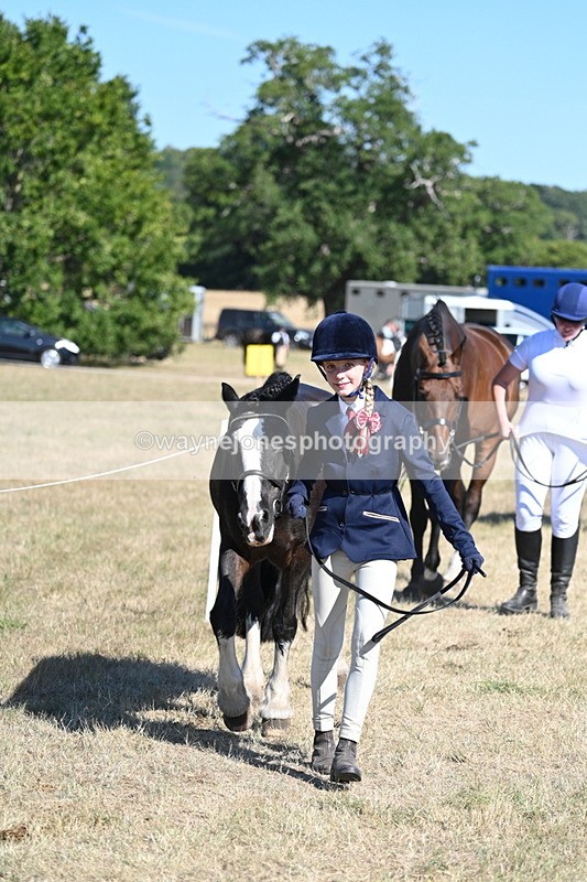 WJ7_1828 - Class 43 Best Six Legs (In hand)