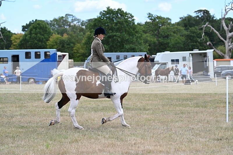 WJ7_4893 - Class 12 Ridden Cob