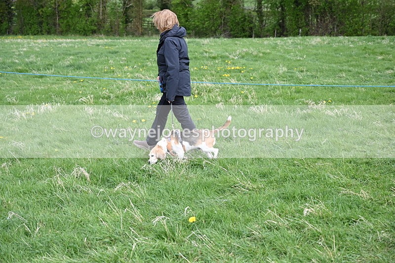 WJ6_8072 - Class 2 Best Pedigree