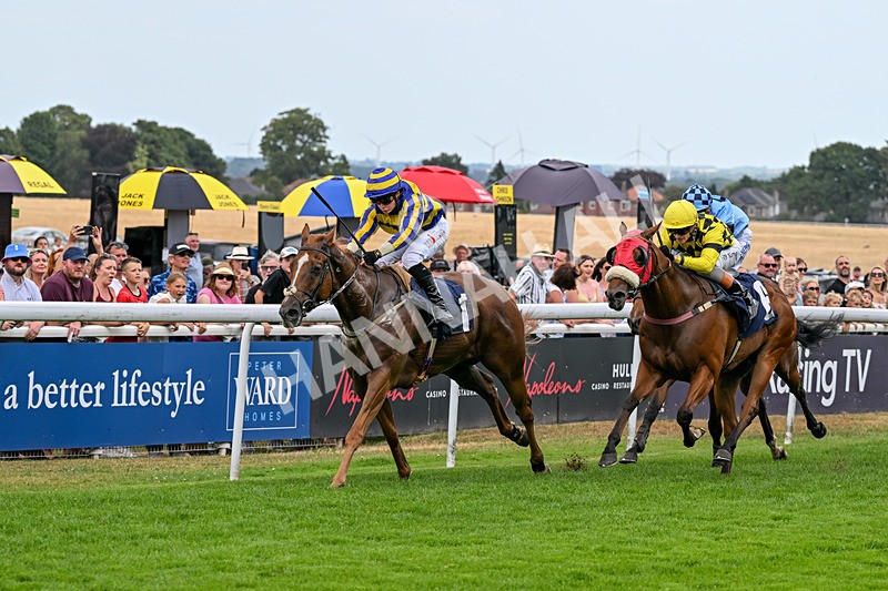 280726-Race 6-Azuinthejungle-1716 - Race 6 16.30pm It's Ladies Day Next On 12 August Handicap