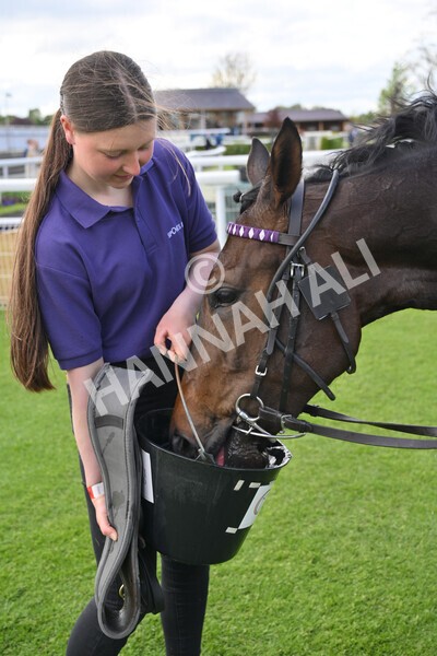 yr12052022r6-40 - Race 6 4.45pm Frank Whittle Partnership EBFstallions.com Maiden Stakes