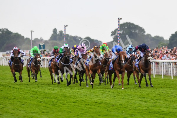170623-Race 2-Wild Lion-0337 - Race 2 2.35pm Sky Bet Handicap