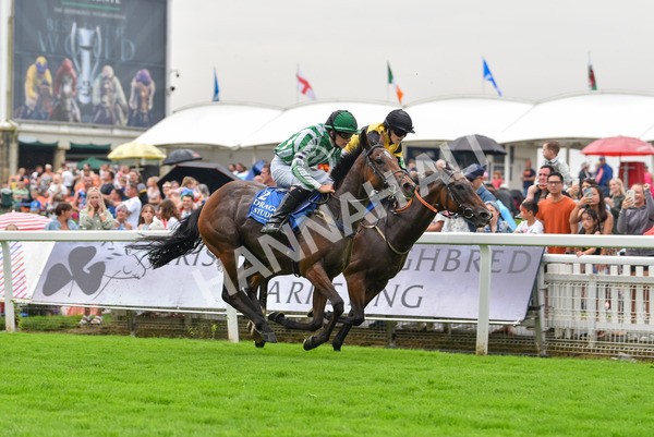 100923-Pony Race 1-1563 - Pony Race 1 12.25 The Dragon (TV and Film) Studios Pony Race 148cm & Under